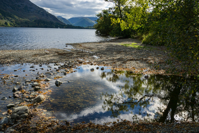 Обои картинки фото природа, реки, озера, река, лес