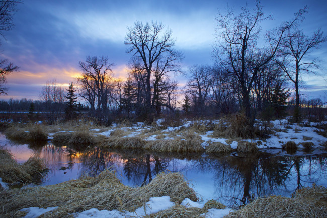 Обои картинки фото природа, реки, озера, река, лес