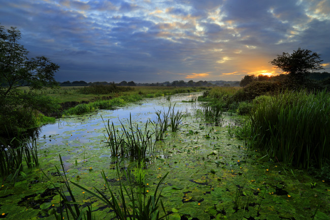 Обои картинки фото природа, реки, озера, река, лес