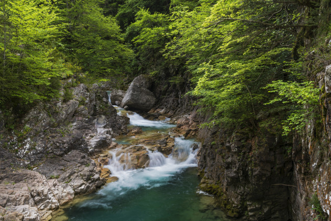 Обои картинки фото природа, реки, озера, река, лес