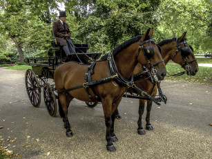 Картинка разное транспортные+средства+и+магистрали экипаж
