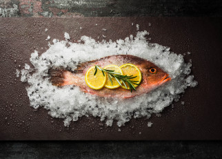 Картинка еда рыба +морепродукты +суши +роллы снедь