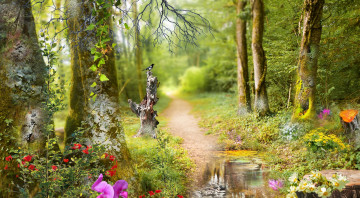 Картинка природа лес простор