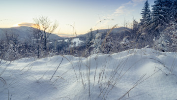 Картинка природа зима простор