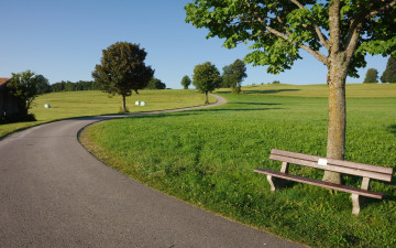 Картинка природа дороги дорога лавочка деревья