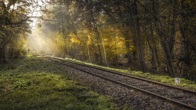 Обои картинки фото разное, транспортные средства и магистрали, свет, лес, железная, дорога