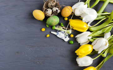 Картинка праздничные пасха тюльпаны