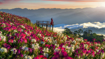 Картинка девушки -+брюнетки +шатенки горы туман брюнетка цветы