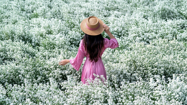 Обои картинки фото девушки, - брюнетки,  шатенки, брюнетка, ромашки