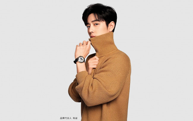 Обои картинки фото мужчины, xiao zhan, актер, свитер, часы