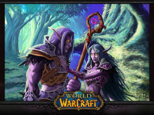 Картинка видео+игры world+of+warcraft эльфы посох природа