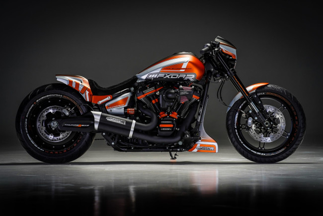Обои картинки фото харлей, мотоциклы, harley-davidson, мотоцикл, байк