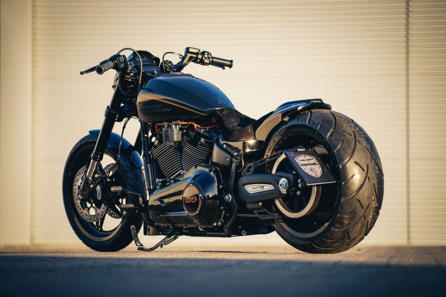 Обои картинки фото харлей, мотоциклы, harley-davidson, мотоцикл, байк