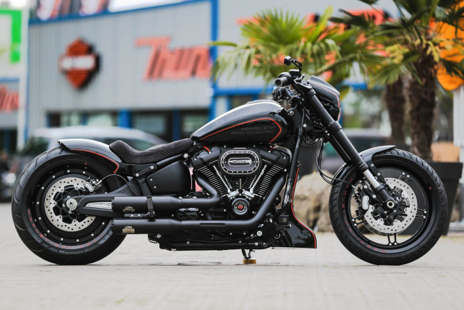 Обои картинки фото харлей, мотоциклы, harley-davidson, мотоцикл, байк