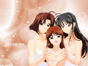 обоя аниме, you`re, under, arrest