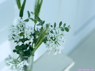 Картинка цветы