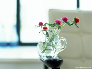 обоя цветы, луговые, полевые