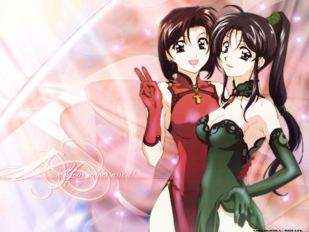 Обои картинки фото аниме, you`re, under, arrest