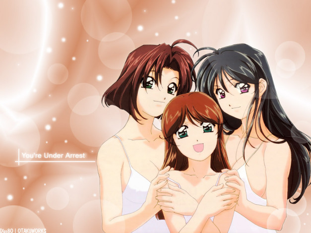 Обои картинки фото аниме, you`re, under, arrest