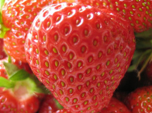 Картинка еда клубника земляника