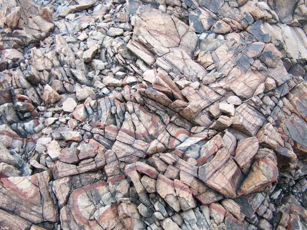 Обои картинки фото 