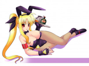 Картинка аниме mahou shoujo lyrical nanoha