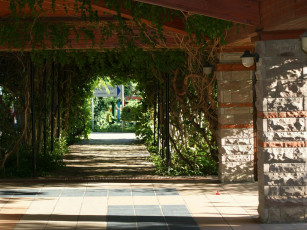 Картинка разное элементы архитектуры