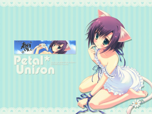 Обои картинки фото аниме, animals