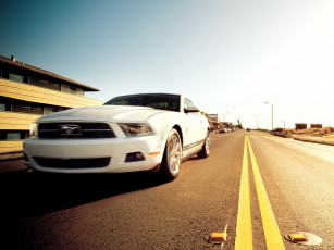 Картинка автомобили mustang