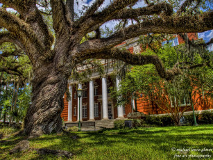 Картинка города здания дома