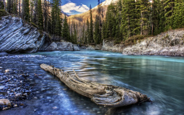 Картинка природа реки озера