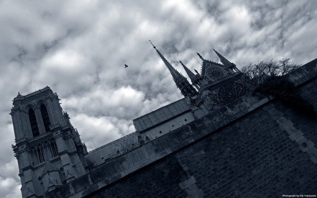 Обои картинки фото notre, dame, cathedral, paris, города, париж, франция