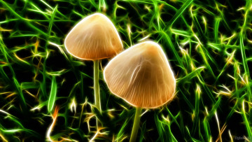 Картинка 3д графика nature landscape природа трава грибы