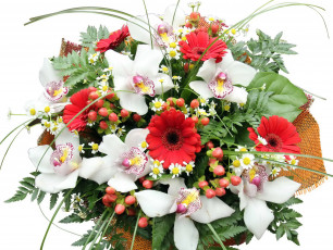 Картинка цветы букеты композиции орхидеи букет герберы