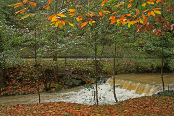 Картинка испания энкартасьонес природа реки озера река пороги деревья
