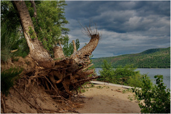 Картинка природа деревья река лес тропинка дерево корни