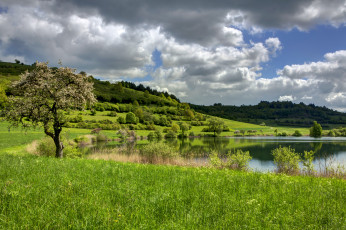 Картинка германия эльшайд природа реки озера деревья озеро трава