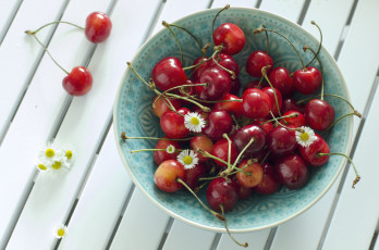 Картинка еда вишня черешня ромашки