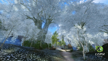 Картинка видео игры archeage