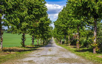 Картинка природа дороги дорога деревья пейзаж