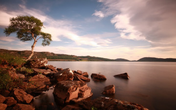 Картинка природа реки озера озеро берег дерево тучи