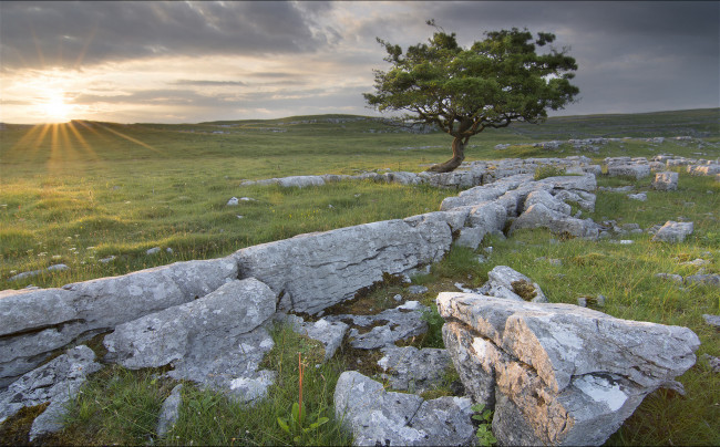 Обои картинки фото природа, восходы, закаты, камни, дерево, восход