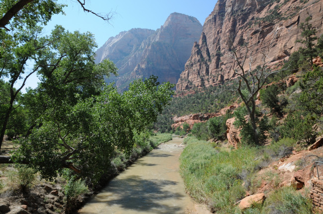 Обои картинки фото zion, national, park, utah, природа, горы, тропинка