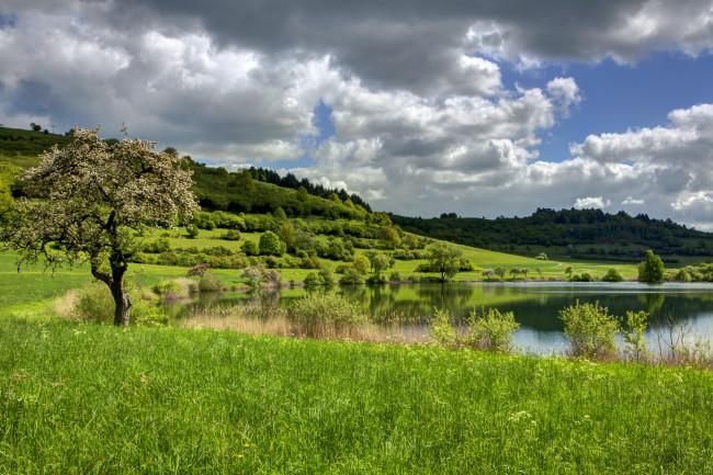 Обои картинки фото германия, эльшайд, природа, реки, озера, деревья, озеро, трава