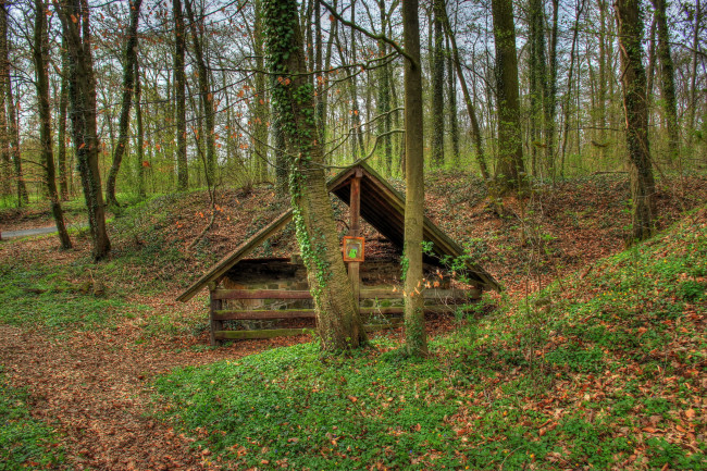 Обои картинки фото германия, гессен, природа, лес