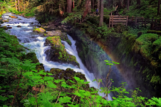 Обои картинки фото sol, duc, falls, olympic, national, park, washington, природа, водопады, река, лес, радуга