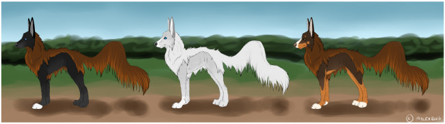 Обои картинки фото рисованные, животные,  собаки, собаки