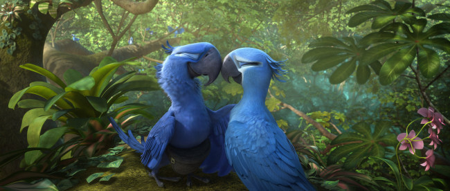 Обои картинки фото мультфильмы, rio 2, попугаи