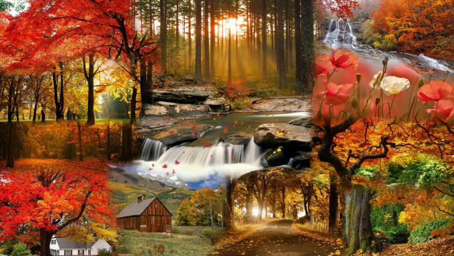 Обои картинки фото разное, компьютерный дизайн, дом, водопад, дорога, цветы, лес