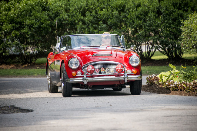 Обои картинки фото austin healey 1000, автомобили, austin, austin-healy, автопробег, выставка, автошоу